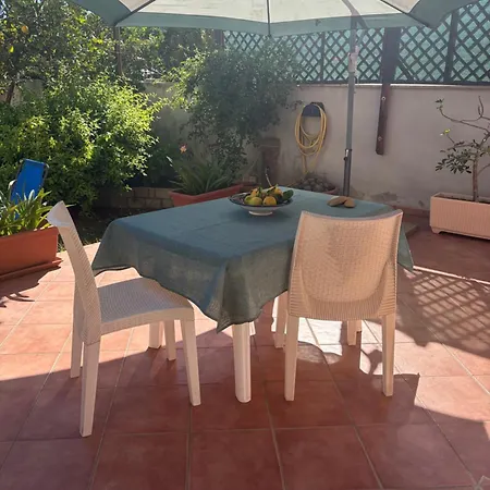 Garden 24