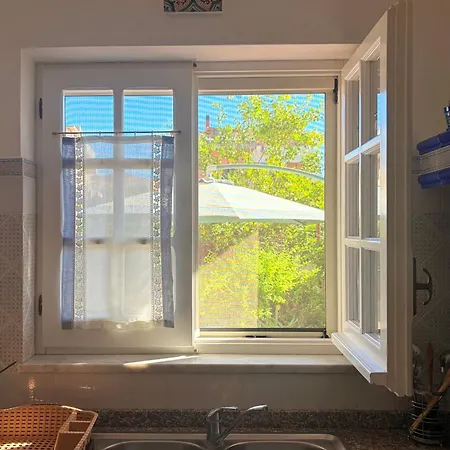 Garden 24