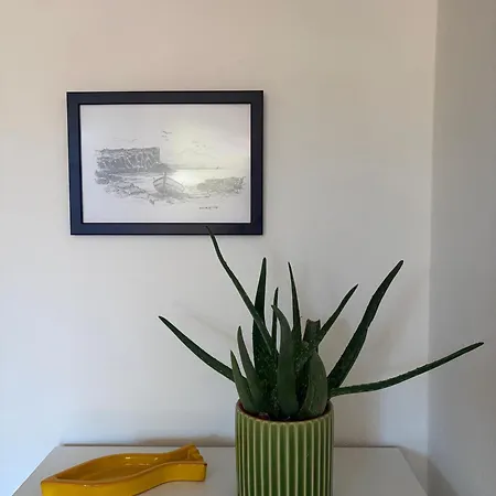 Appartement Garden 24